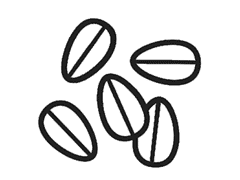 Гоп FM